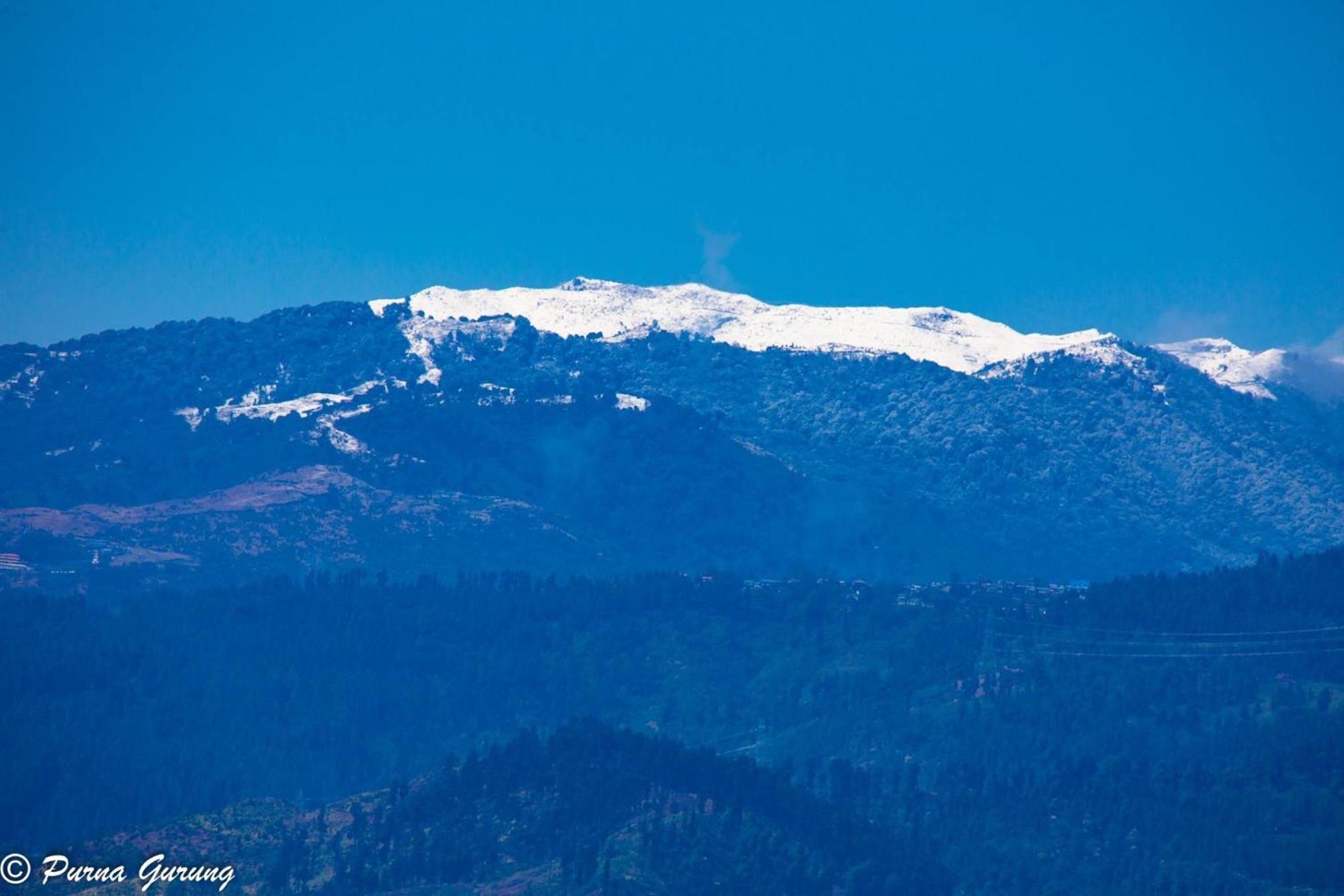 Dreamhome Stay Kurseong Екстериор снимка